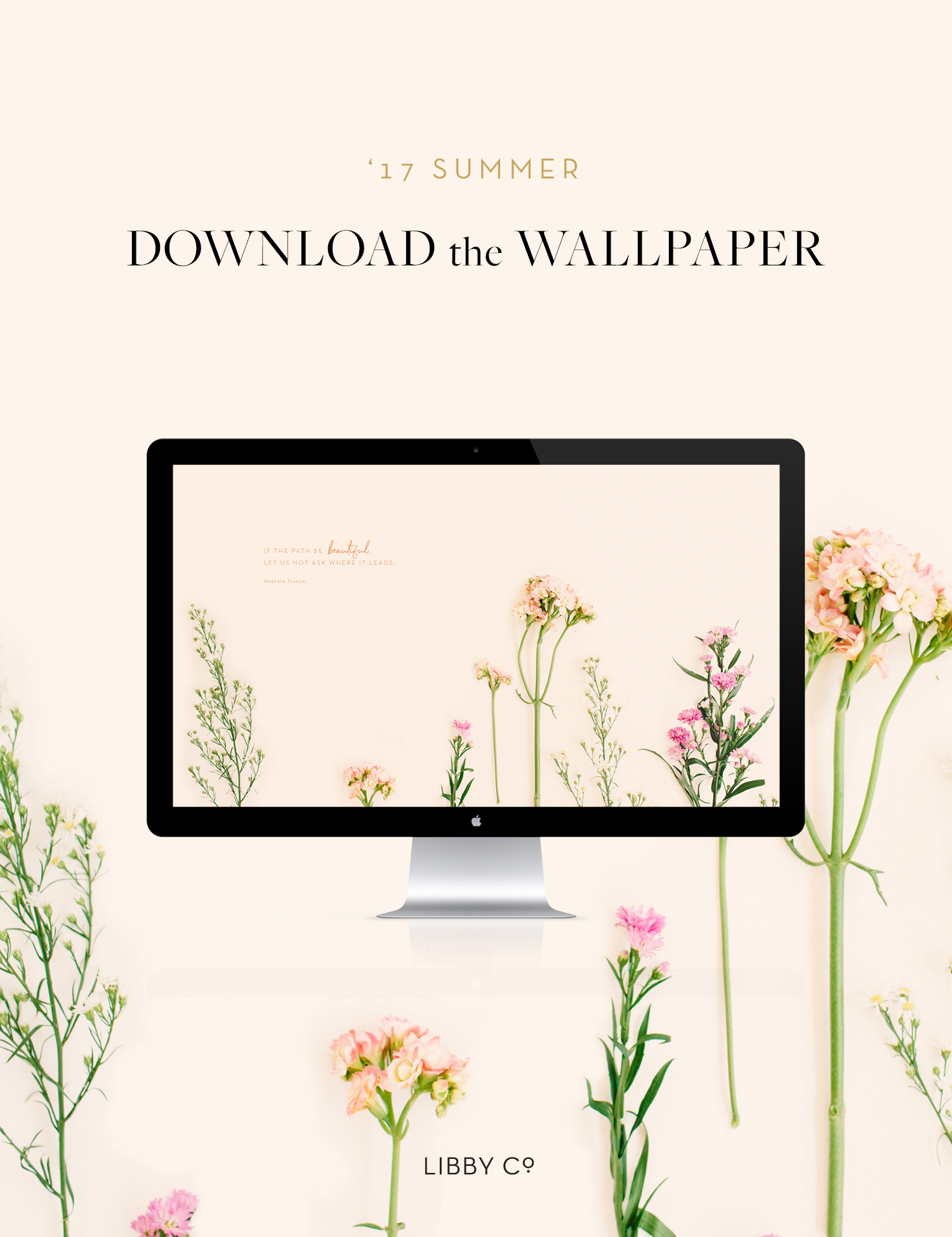 Read more about the article Summer Flower Wallpaper
