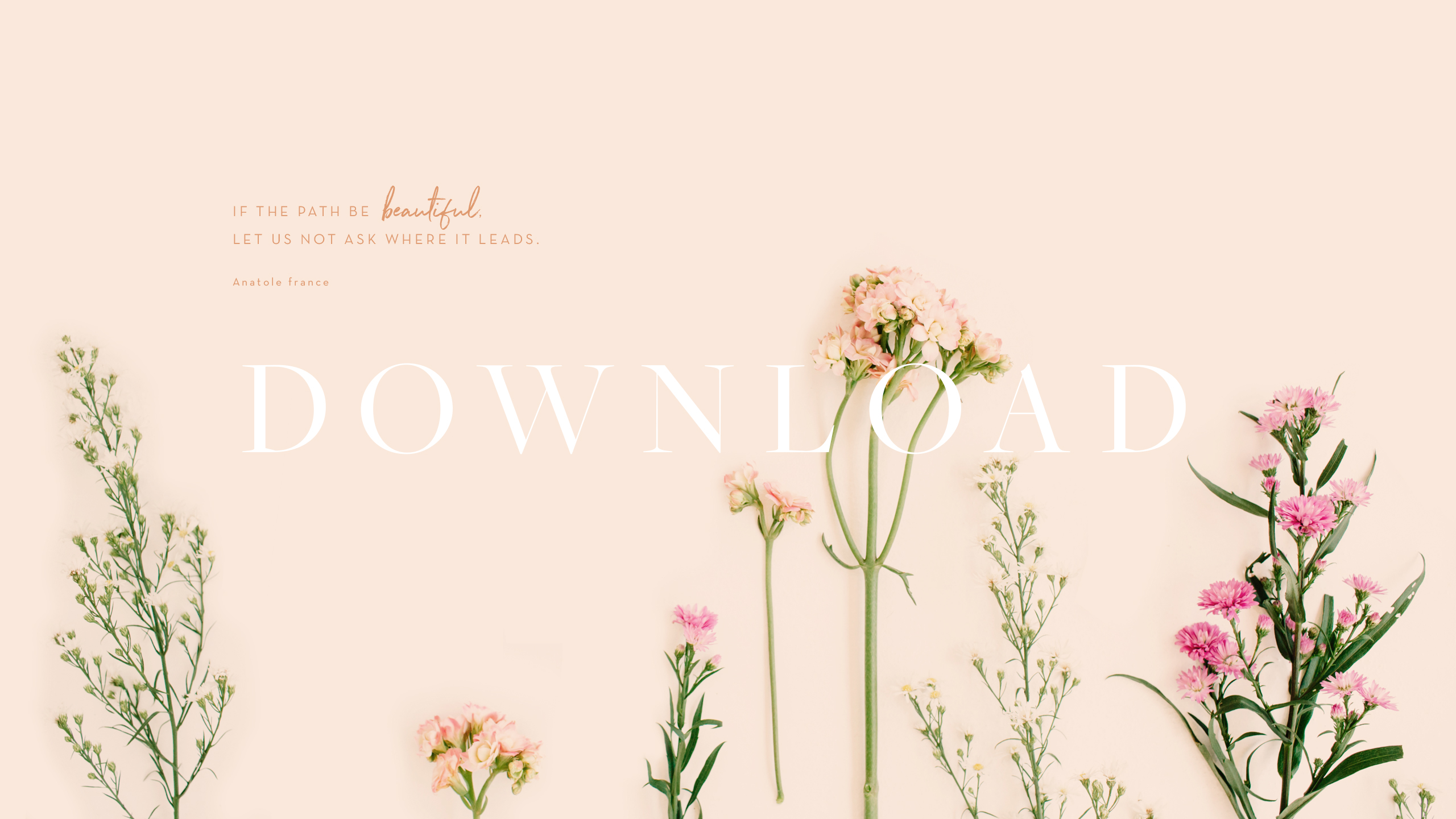 Flower wallpaper download.